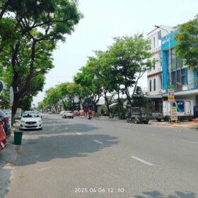 z6486104388462 49f959c6240210d51051ae3d0626d35f