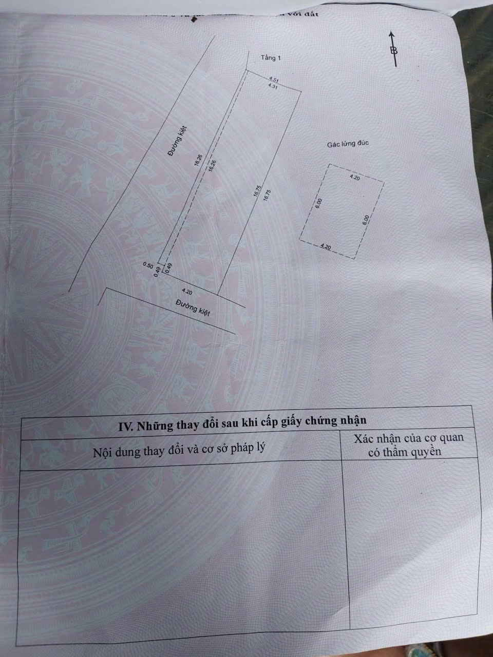 NHÀ LÔ GÓC KIỆT Ô TÔ THÔNG, ĐƯỜNG TRẦN ĐÌNH TRI, LIÊN CHIỂU, ĐÀ NẴNG - DIỆN TÍCH 80M² NGANG 17M z6563703149019 41c04a8db147c649f99021f769f88763