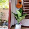 BÁN NHÀ LÔ GÓC TRẦN TẤN, LIÊN CHIỂU, ĐÀ NẴNG – DIỆN TÍCH 88M² NGANG 10M, ĐƯỜNG 7,5M - VỊ TRÍ KINH DOANH BUÔN BÁN gen n z7047863996012 cd102ef442884c7c0484244ae92fb83e