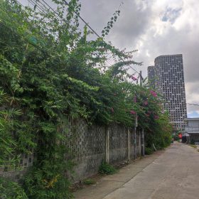 gen h z7116286943055 d23632e11aabc63b1a3192ea1dc3435f