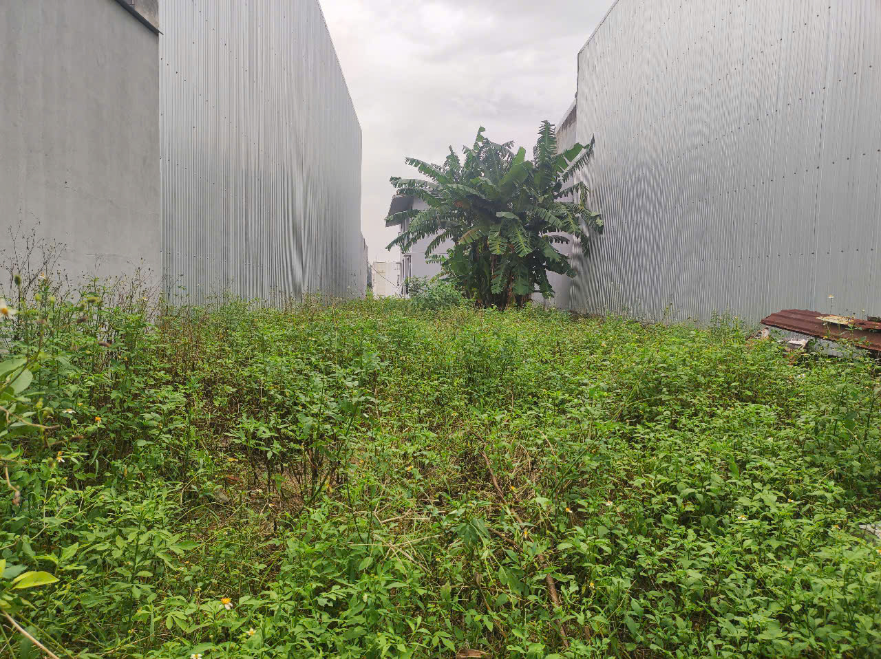 gen-h-z7178390699123_705d7c66352a6c2d4f4b1113bc93f1e7 gen h z7178390699123 705d7c66352a6c2d4f4b1113bc93f1e7 1