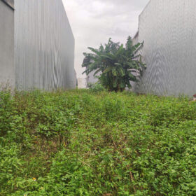 BÁN 290M² ĐẤT KIỆT Ô TÔ TRÁNH PHAN VĂN ĐỊNH, LIÊN CHIỂU, ĐÀ NẴNG – NGANG 8M, ĐƯỜNG 7M – SÁT MIKAZUKI