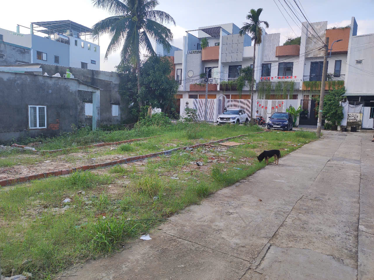 gen-h-z7202525626472_202c0734f6acd5464fa3d22a69c52860 gen h z7202525626472 202c0734f6acd5464fa3d22a69c52860