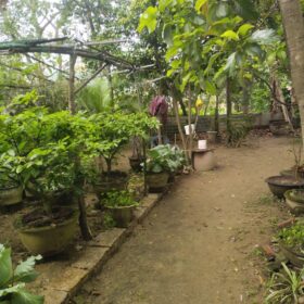 z7606581366007 9fe1b7ff5c3de9abf3895e5b270a7538