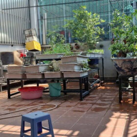 gen n z7733824438983 9b80873ea7019438d600e6b1c6c85cc3