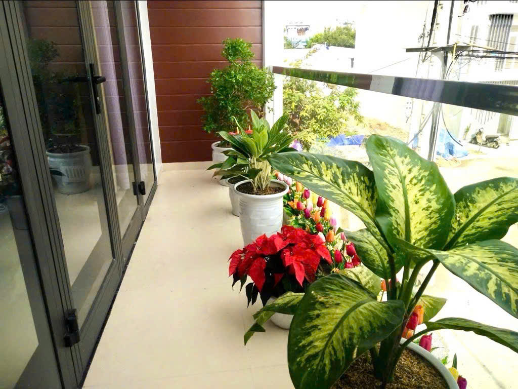 ban-nha-2-mat-tien-bau-nang-1-lien-chieu-da-nang-140m2-6x24-duong-5-5m-le-3m-co-phong-cho-thue-3 ban nha 2 mat tien bau nang 1 lien chieu da nang 140m2 6x24 duong 5 5m le 3m co phong cho thue 3